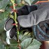 TARATI Gardening Gloves, Professional Garden Gloves for Cacti, Roses, and Rose Care, Pruning, Rose Thorn Protection, Wear-Resistant, Long Sleeve Glove