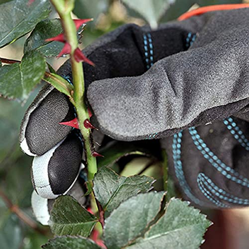 TARATI Gardening Gloves, Professional Garden Gloves for Cacti, Roses, and Rose Care, Pruning, Rose Thorn Protection, Wear-Resistant, Long Sleeve Glove