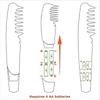 Lifweb Mataway EComb, Electric Pet Hair Knot Remover Grooming Comb for Dogs, Puppies Cats (1pcs)