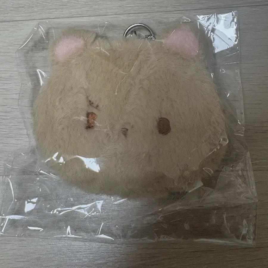 

Поколение Pouch Hyunjae