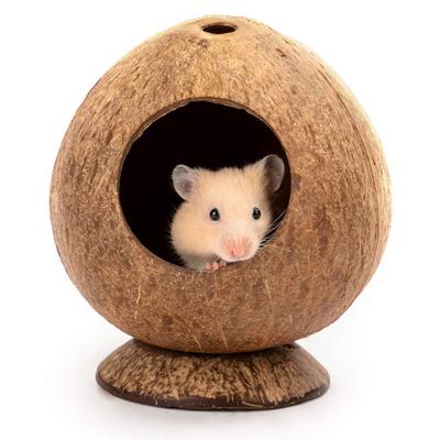 Cachette pour hamster, maison en bois, cabane en noix de coco, lit pour hamster, gerbille naine, souris, rat, petits animaux, reptiles
