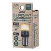 Stanley Electric LED Bulb Standard LED S25 Part Number SL002 (STANLEY) 12/24V