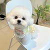 Fashion Dog Bib with Cute Lace Pet Bib For Puppies Neckerchief Pet Supplies Accessories for Dogs Scarf