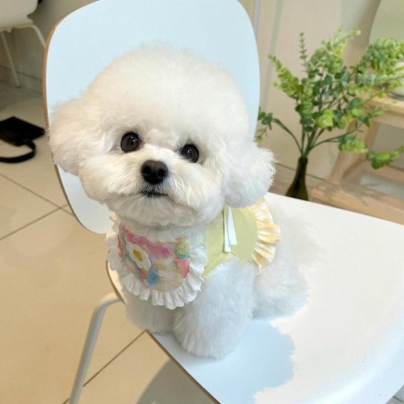 Fashion Dog Bib with Cute Lace Pet Bib For Puppies Neckerchief Pet Supplies Accessories for Dogs Scarf