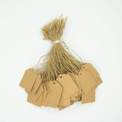 100 Count Blank Tags with String for Gift Labeling And Wrapping