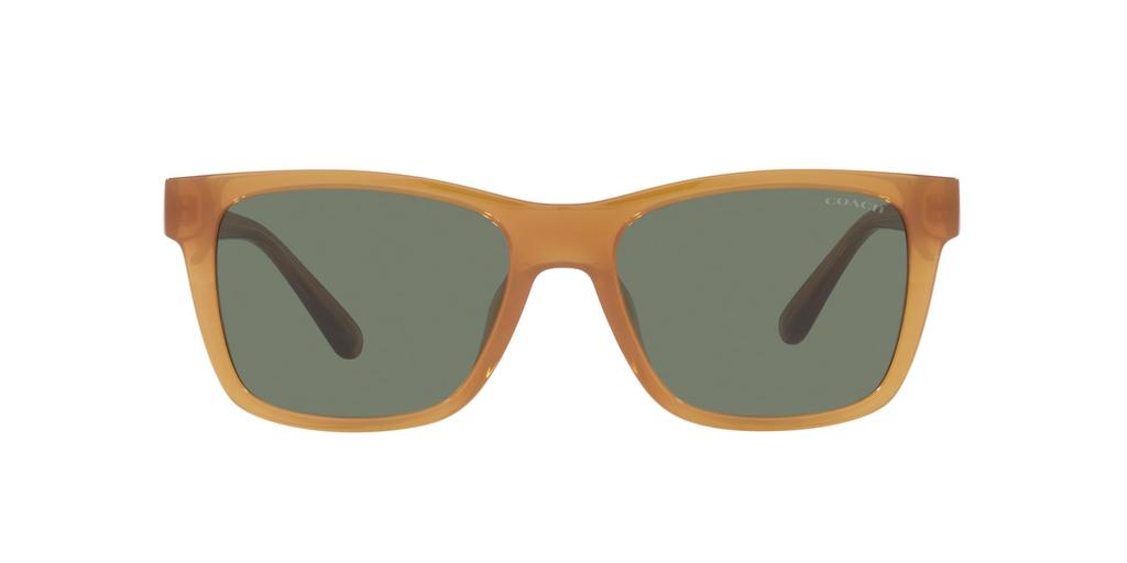 Sunglasses HC8359U CD455 52513H MILKY AMBER 56 [Coach]
