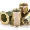 Color Zinc Semi-Hexagonal Flat Round Head Rivet Nut (M5/M6/M8)