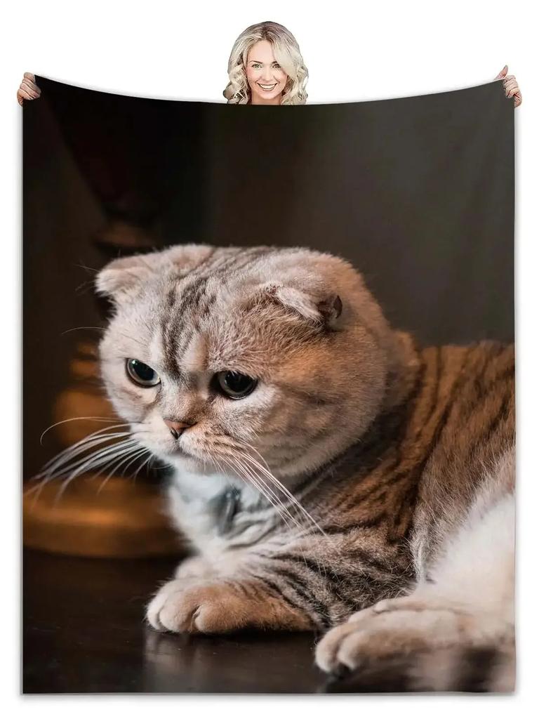 1pc Cozy Cat Print Soft Blanket - Skin-Friendly, Casual, and Versatile Shawl for Sofa, Living Room, and Outdoor