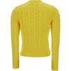 Polo Ralph Lauren Solid Color Single-Breasted Round Neck Long Sleeve Knit Sweater Women Sweater Yellow 211891643-011