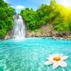 Natural Scenery 3d Wall Mural Forest Waterfalls Pools Wallpaper Room Landscape Murals Living Room Sofa Backdrop Wall Papers