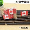 100Pcs Disposable Flag Toothpicks, Food Picks with Mini Flags for Fruit Cocktail Cake Steak, Bar Party Decorative Skewers