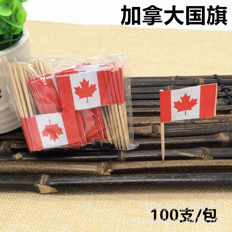 100Pcs Disposable Flag Toothpicks, Food Picks with Mini Flags for Fruit Cocktail Cake Steak, Bar Party Decorative Skewers