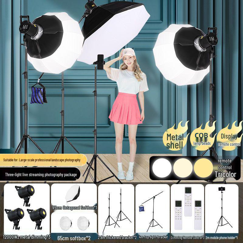 Zheyu Bright Spherical Fill Light for Indoor Live Streaming and Photography