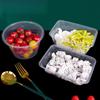 Disposable Rectangular Plastic Food Container