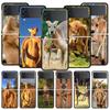 Telefon kapları – Smartphone Bumper Kılıflar