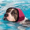 Noise Cancelling Ear Wrap, No Shake Dog Ear Muffs, Noise Reduction Earmuffs from Thunder Vacuum, Dog Calming Ear Wrap for Grooming Bathing Swimming