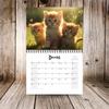 2025 Cat Calendar Paper Daily Organiser Calendar Gift Monthly Hanging Calendars