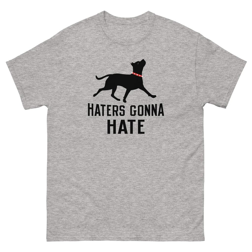 Haters Gonna Hate Pitfunnytshits Funny Crew Neck Text Tee Shirts