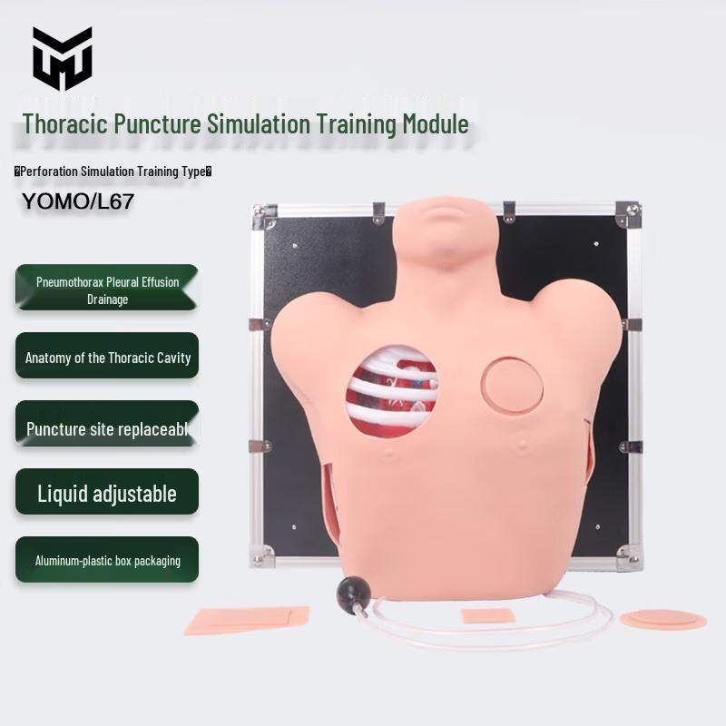 Thoracic Puncture Training Model