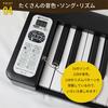 kikutani Japanese Kikutani Digital 61 BLK (Kikutani) [Reliable Company] [Foldable] Piano, Keys, Rechargeable, KDP-61P