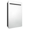 VidaXL Armoire de salle de bain à miroir LED Noir 60x11x80 cm 326503