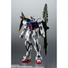 TAMASHII NATIONS Robot Spirits AQM/E-X03 Launcher Striker & Effect Parts Set 130mm Painted Action Figure ABS PVC