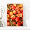 Apple Lemon Tree Still Life Canvas Painting Poster Vintage Fruit Print, Neutral Botanical Antique Kitchen Wall Art  Home Decor