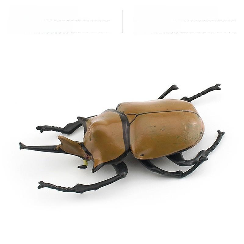 Insektensammlung Modell Pvc Tier Replikat Für Naturstudium Und Bildungszwecke