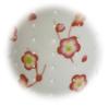 Arita Ware Tea for One February Plum Blossom TFO-003