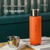 Portable Stainless Steel Tea Infuser Thermos Mug