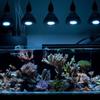 12W 15W 36W 45W LED Fish Tank Light Spectrum LED Aquarium Light Full PAR38 Aquatic Grass Breeding Supplementary Lamp