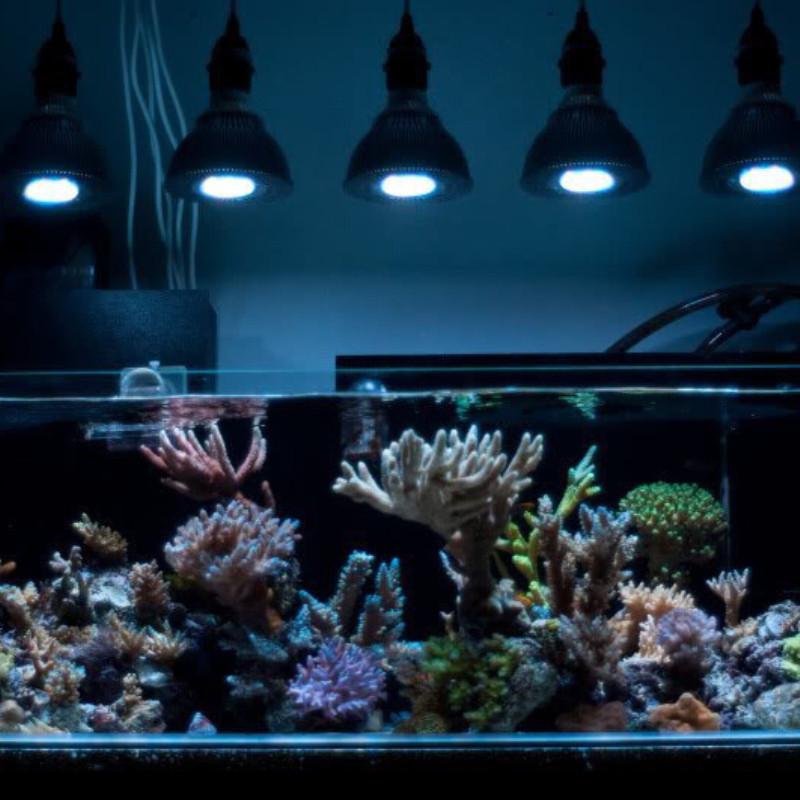 12W 15W 36W 45W LED Fish Tank Light Spectrum LED Aquarium Light Full PAR38 Aquatic Grass Breeding Supplementary Lamp