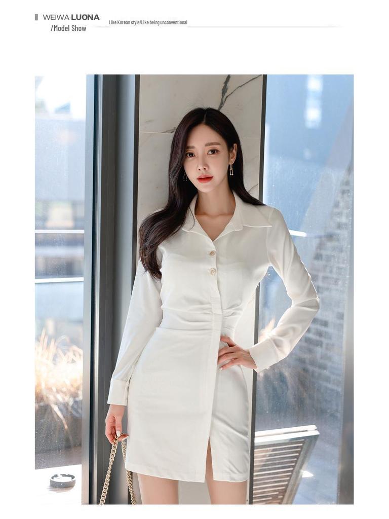 2022 Frühling Koreanische Mode Damen Slim-Fit Hemdkleid mit kleinem Revers