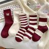 Women's Burgundy Striped Cotton Slouch Socks - Mid-calf to Over-the-knee