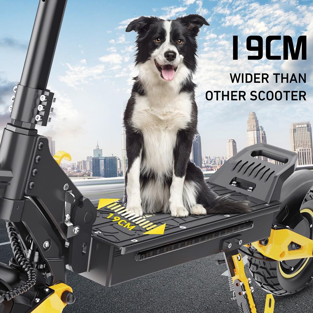 iENYRID ES1 Electric Scooter, 250W*2 Motor, 48V 20.8Ah Battery, 10 Inch Off-Road Tires, 25km/h Max Speed