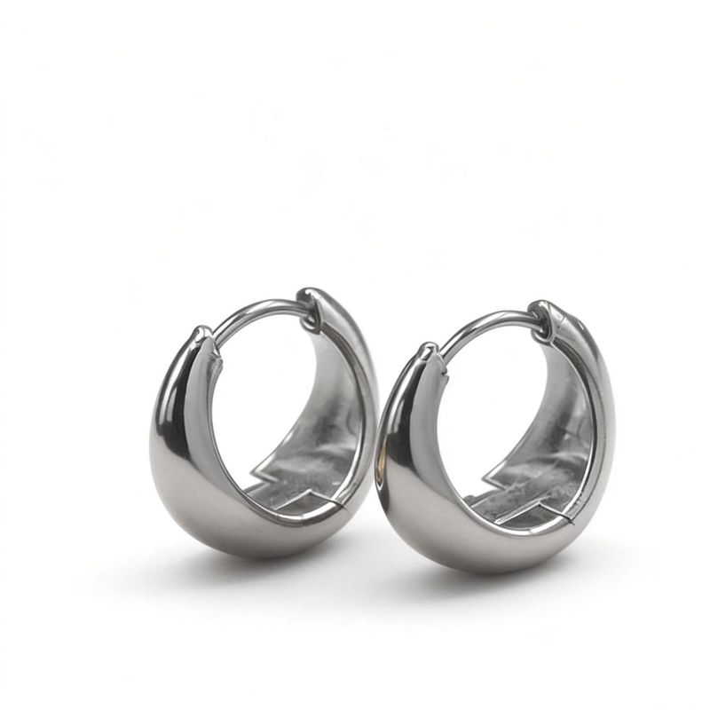 2025 European and American Fashion Men's Earrings Niche Design Light Luxury High-End Earrings for Women Trendy Round Ear Hoops Ear Rings