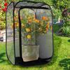 Butterfly Insect Cage Habitat Mini Insect and Butterfly -up Collapsible Insect Mesh Cage for Insect Pet Raising Supplies