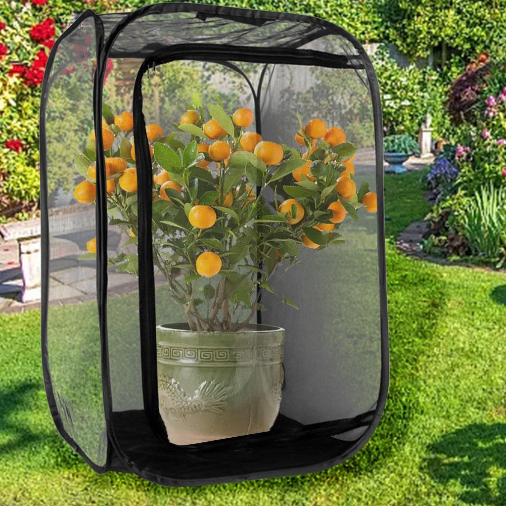 Butterfly Insect Cage Habitat Mini Insect and Butterfly -up Collapsible Insect Mesh Cage for Insect Pet Raising Supplies