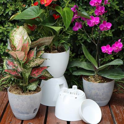 Samozavlažovací květináč Plastové květináče na orchideje pro rostliny Prodyšný hydroponický květináč Domácí květináč pro líné zahradníky Zahradní dekorace