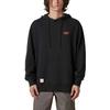 Globe Hoodie Living Low Velocity