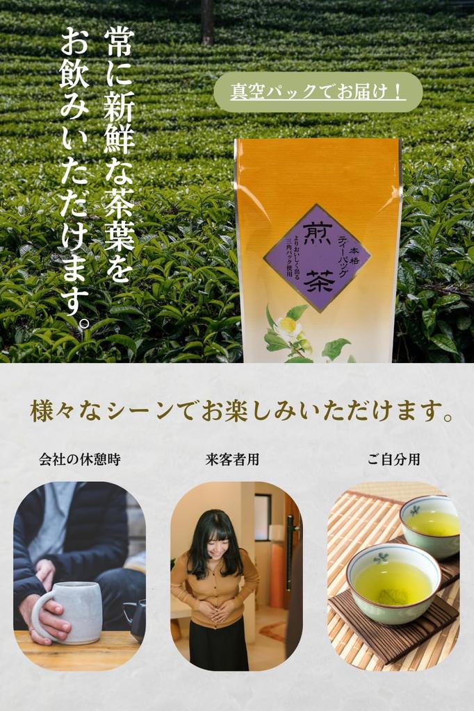 Seisenen Honten Sencha Tea Bags, Kyoto Uji, Premium Authentic Japanese Green Tea, Deep-Steamed, Waka-Steamed, Cold-Brewed, and Cold-Tea