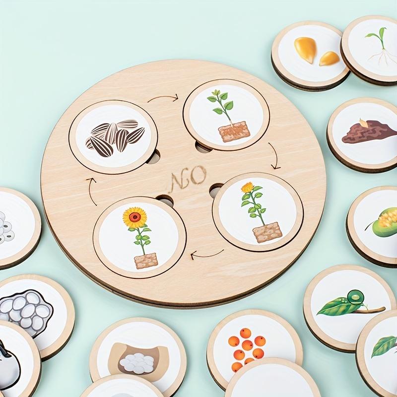 Non-Toxic 1 Set Animal Life Cycle Board Children Toys Montessori Teaching Aids Plant Animal Growth Cycle Model Set Preschool Cognitive Toy