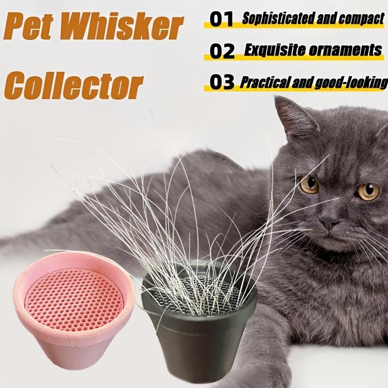 Pet Whisker And Fur Collector Cat Whisker Holder Mini Flower Pot Design Desktop Ornament Collectible Keepsake For Cat Owners
