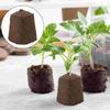 Vegetable Plants Gardening Supplies Seedling Block Compressed Soil Starter Peat Matrix