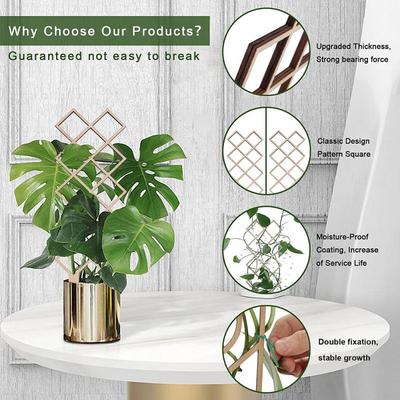 4 Pièces Treillis pour Plantes Grille Solide Bois Plantes d'Intérieur Vigne Grimpante Support Branche Feuille Étagère Verticale Cadre Fournitures de Jardinage