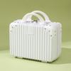 Portable Mini Travel Luggage & Cosmetic Case