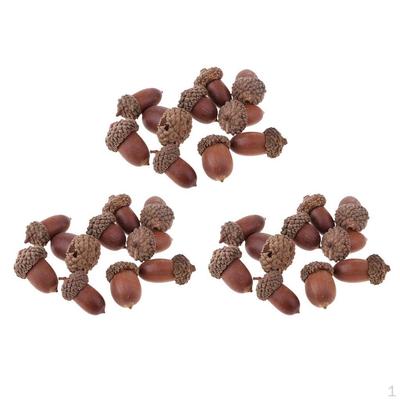 30 Pieces Acorns Dried Table Ornament Creative Home Decoration DIY