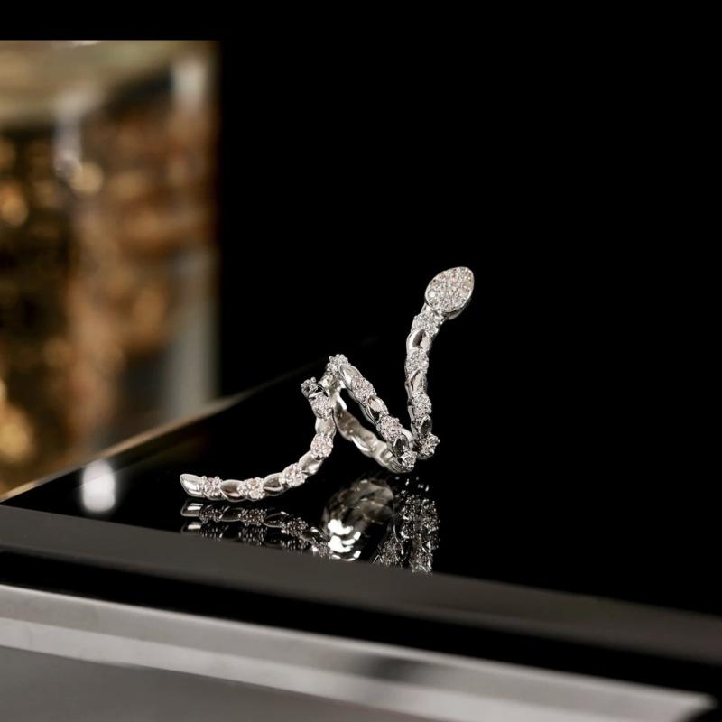 High-end Earrings Niche Design Personalized Snake Ear Bone Clips