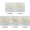 Cute A-class baby cotton antibacterial crotch mid waist women's underwear with cute little puppy