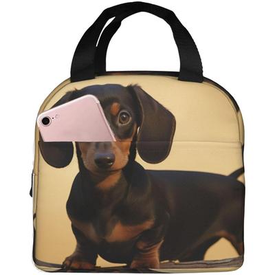 A Cute Dachshund Lunch Bag Insulated Reusable Lunch Box For Women Men Portable Leakproof Lunch Tote Bag Cooler